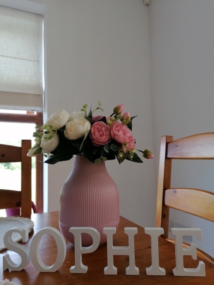 1pc 8CM White Wooden Letter En - Letter S Art Craft review and price